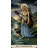 Tarot of the Longest Drea