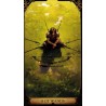 Tarot Druidic Tarot (2024