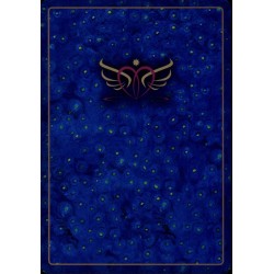 Oraculo 22 Cartas De Arca