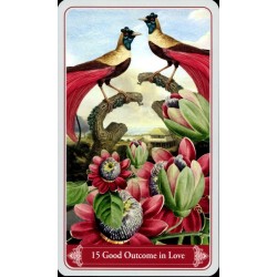 Oraculo Christephania KIp