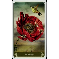 Oraculo Christephania KIp