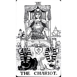 Tarot Black And White Rid