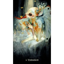 Oraculo Wisdom Of The Wil