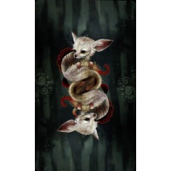 Oraculo Wisdom Of The Wil