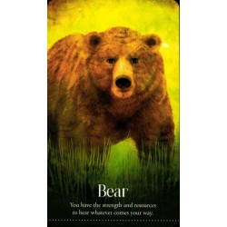 Oraculo Wild Dreams Anima