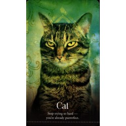 Oraculo Wild Dreams Anima