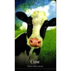 Oraculo Wild Dreams Anima