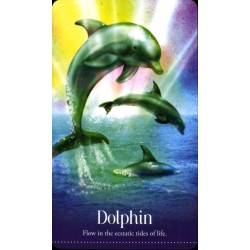 Oraculo Wild Dreams Anima