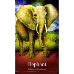 Oraculo Wild Dreams Anima