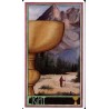 Tarot Erenberg Tarot (EN)