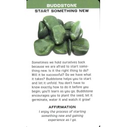 Oraculo Crystal Blessing