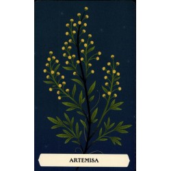 El Oraculo Secreto de la