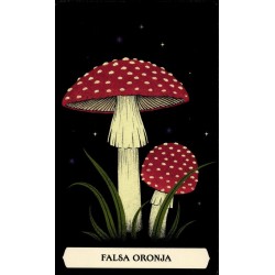 El Oraculo Secreto de la