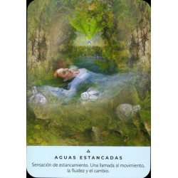 Oraculo Las Aguas Sanador