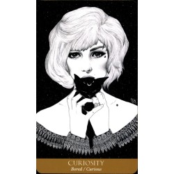 Oraculo Soul Mirror Oracl