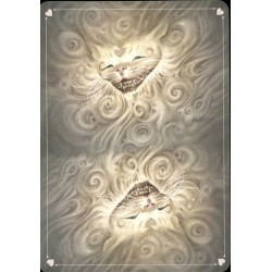 Oraculo Alice In Wonderla