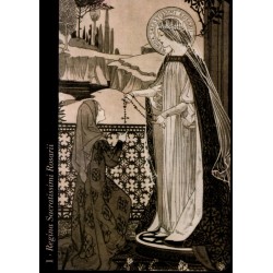 Oraculo Divine Light Orac