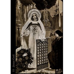 Oraculo Divine Light Orac