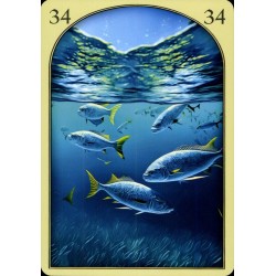 Oraculo Medieval Lenorman