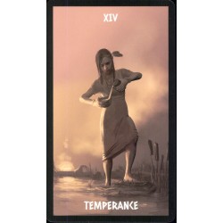 Tarot The Native Spirit T