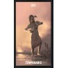 Tarot The Native Spirit T