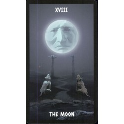 Tarot The Native Spirit T