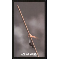 Tarot The Native Spirit T