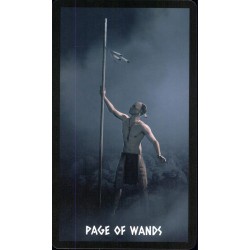 Tarot The Native Spirit T