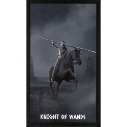 Tarot The Native Spirit T