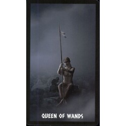 Tarot The Native Spirit T