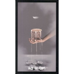 Tarot The Native Spirit T