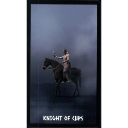 Tarot The Native Spirit T