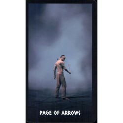 Tarot The Native Spirit T