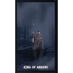 Tarot The Native Spirit T