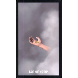 Tarot The Native Spirit T