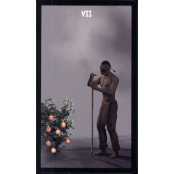 Tarot The Native Spirit T