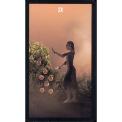 Tarot The Native Spirit T