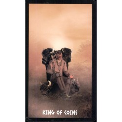 Tarot The Native Spirit T