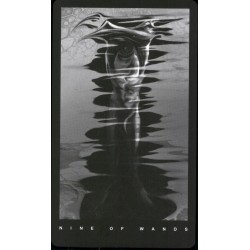 Tarot The Black Tarot Set