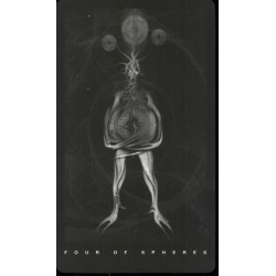 Tarot The Black Tarot Set