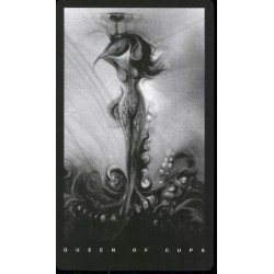 Tarot The Black Tarot Set