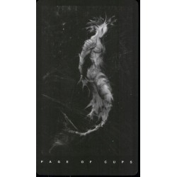 Tarot The Black Tarot Set