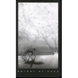 Tarot The Black Tarot Set