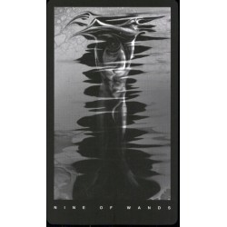 Tarot The Black Tarot Set