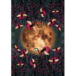 Tarot El Guardian de la N