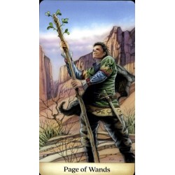 Tarot Calandra Tarot (EN)