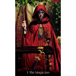 Tarot When Women Had Wing