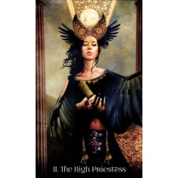 Tarot When Women Had Wing