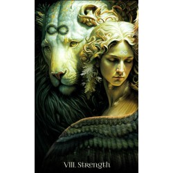 Tarot When Women Had Wing