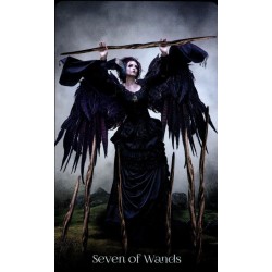 Tarot When Women Had Wing